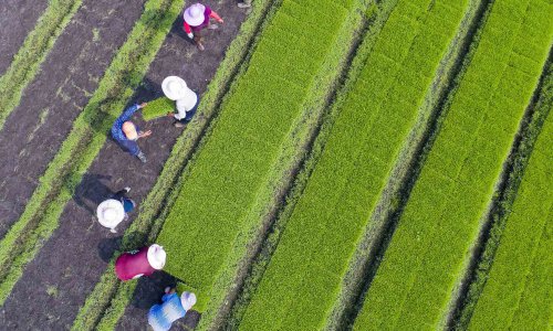 Photo: Asia Pac/GETTY IMAGES