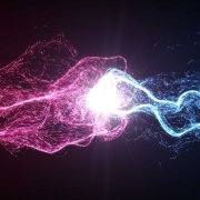 Photo: kmls/Adobe Stock