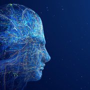 Photo: Yuichiro Chino via Getty Images