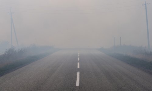 Photo: OLEKSII FILIPPOV/AFP via Getty Images