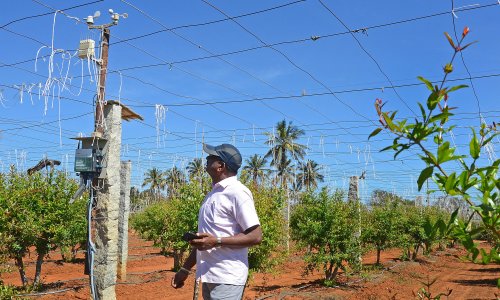 Photo: -/AFP via Getty Images