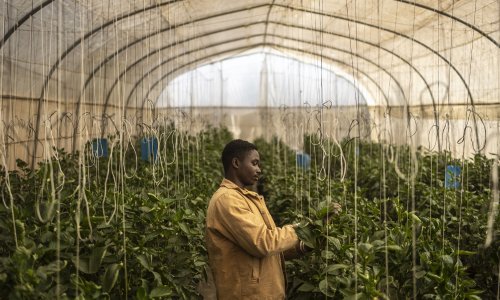 Photo: OLYMPIA DE MAISMONT/AFP via Getty Images