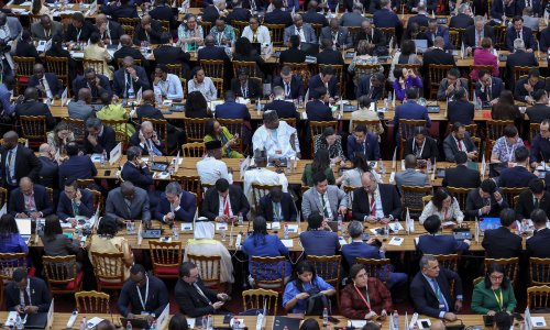 Photo: AFP/Getty Images