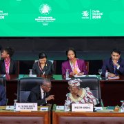 Photo: AFP via Getty Images