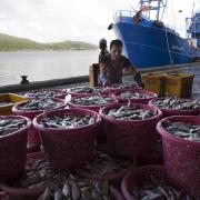 Photo: Paula Bronstein/ Getty Images