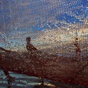 Photo: Yousuf Tushar/LightRocket/Getty Images