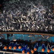 Photo: JOHANNES EISELE/AFP/Getty Images