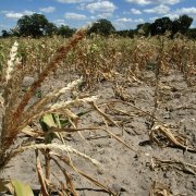 Photo: ALEXANDER JOE/AFP/Getty Images