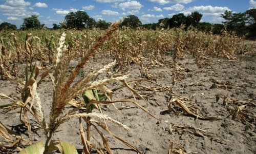 Photo: ALEXANDER JOE/AFP/Getty Images