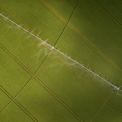 Global Food and Water Security Program Newsletter