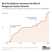 Bird Flu Spillover Increases the Risk of Dangerous Human Variants 
