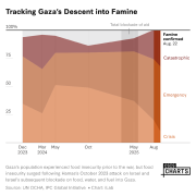 Gaza Famine